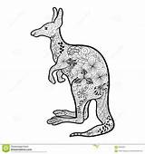 Kangaroo Coloring Pages For Adults sketch template
