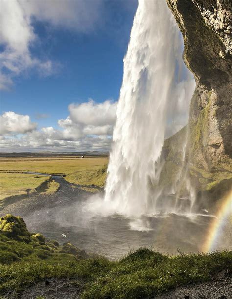 The best places to watch wildlife in Iceland – Lonely Planet - Lonely Planet