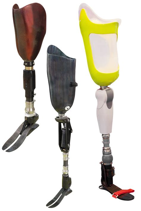 artificial limbs under the white background – DOT FMCSA-FAA-USCG-Rules-Regulations| Randolph ...