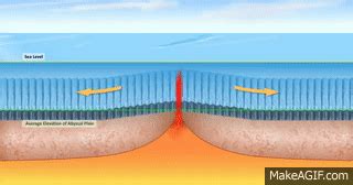 Seafloor Spreading | Earth Sciences - Quizizz