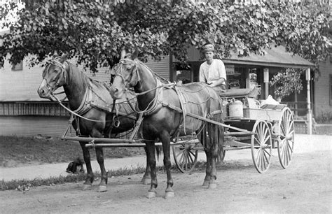 Wayne County Memories: A Pictorial History – Pediment Publishing