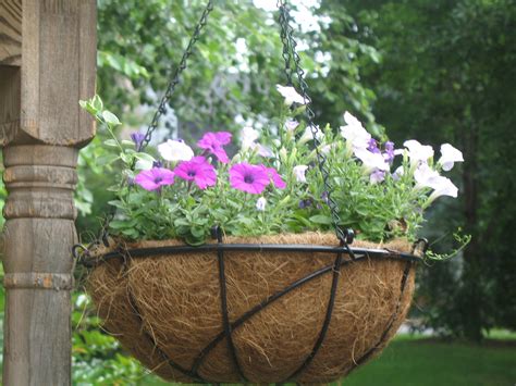 Ideas for Hanging Baskets | Garden Guides