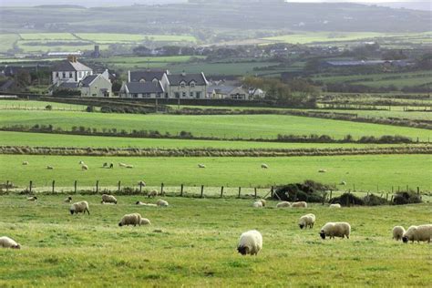 Successful co-ops could lead to successful rural communities - Agriland.ie