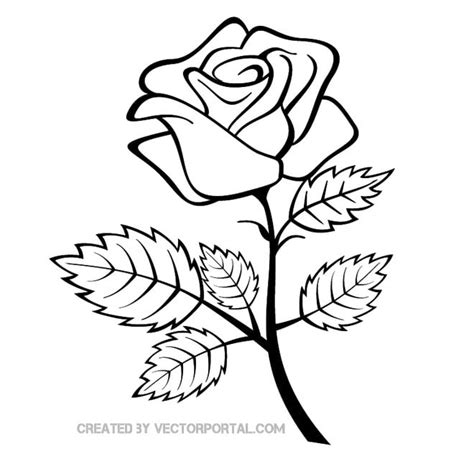 Rose Vector Outline