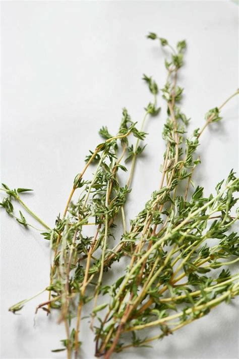 How to Cook with Thyme + 10 Fresh Thyme Recipes — The Mom 100