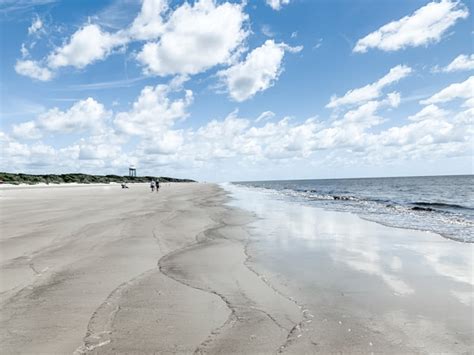 A Guide to the Best Jekyll Island Beaches, Including Driftwood Beach - CS Ginger Travel