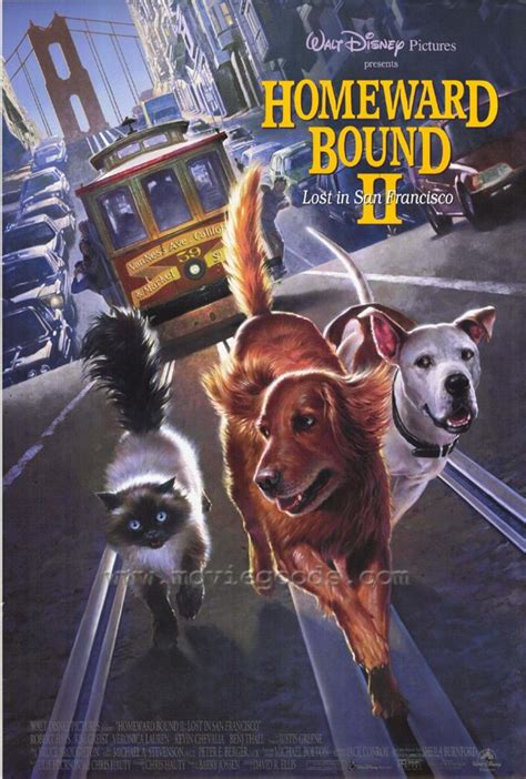 Movie Poster For 1996 Disney Film, "Homeward Bound II: Lost In San Franscisco" - Disney Photo ...