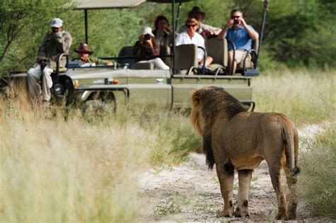 Deception Valley Lodge | Central Kalahari Game Reserve Lodges | Botswana Accommodation | African ...