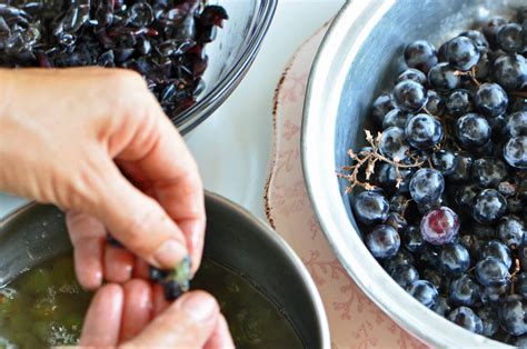 Concord Grape Jam Recipe | Sifting Focus