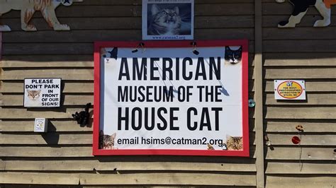 American Museum of the House Cat | Flickr