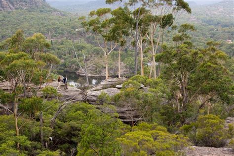 Singleton - Hunter Valley - Tourist Attractions - Central Coast NSW - Museums - Scenic Drives ...