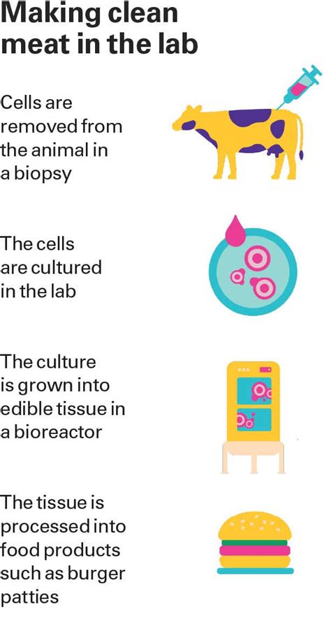 Accelerating the cultured meat revolution | New Scientist