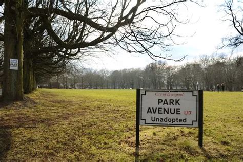 Battle to save Sefton Park Meadows continues with hundreds expected to ...