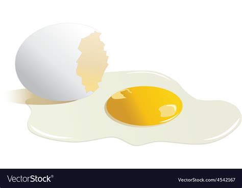 Broken egg Royalty Free Vector Image - VectorStock