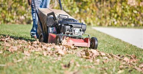 What is a Mulching Mower and How Does it Work