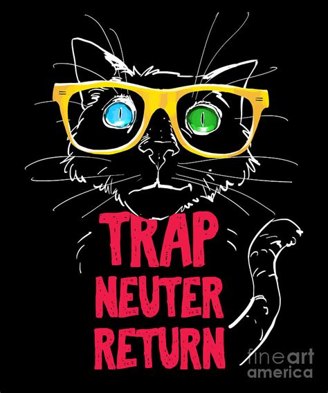 Trap Neuter Return Rescue Cat Stray Wild Drawing by Noirty Designs