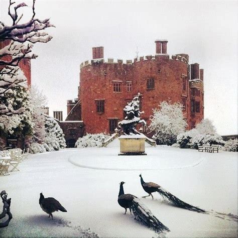 Peacocks in the snow: Owing to adverse weather conditions, Powis Castle and Garden is closed ...