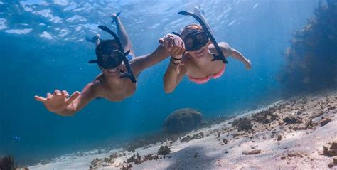 Tulum Ruins Tour, Cenotes Tour & Snorkel at Tulum’s Reef