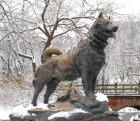 NYC ♥ NYC: Bronze Sculpture of Balto in Central Park