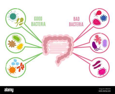 Colored microbiology hi-res stock photography and images - Alamy