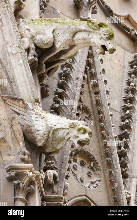 Paris, Notre Dame gargoyles statues on the Gothic cathedral Stock Photo - Alamy