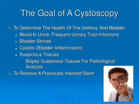 PPT - Cystoscopy Cystoscopy and Stent Removal Cystoscopy and Biopsy PowerPoint Presentation - ID ...