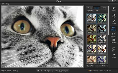 Fotor fixes photos fast