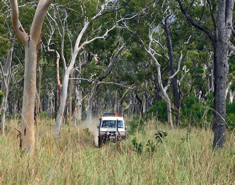 Update: Search operation, Greenvale - Queensland Police News