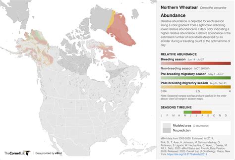 Northern Wheatear - Gates Of The Arctic National Park & Preserve (U.S ...