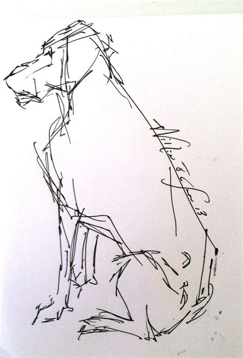 animal gesture drawing - Google Search | Gesture drawing, Drawings ...