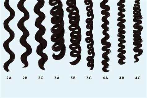 What Percentage of People Have Curly Hair? - The Mews Beauty