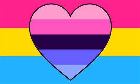 Pansexual Omniromantic Pride Flag Large 3' X 5' - Etsy