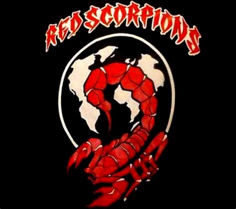 Red Scorpions gang bust like 'Whack-A-Mole,' expert says | CBC News