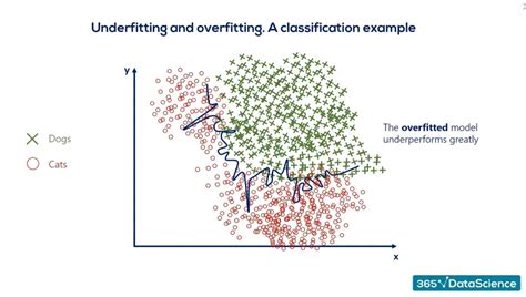 Overfitting vs Underfitting: What's the Difference – 365 Data Science