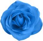 Rose Blue Transparent PNG Clip Art | Gallery Yopriceville - High ...