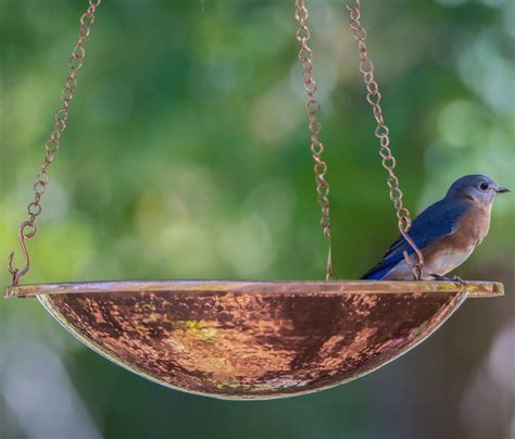 Solar Bubbler Copper Bird Bath | Solar Power Bird Baths | Real Copper Birdbath Gift – The ...