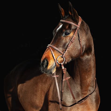 Horze Constance Padded Fancy Stitch Bridle w/Reins - Tan Horse