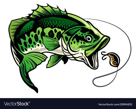 Best Cartoon Bass Fish Illustrations Royalty Free Vec - vrogue.co