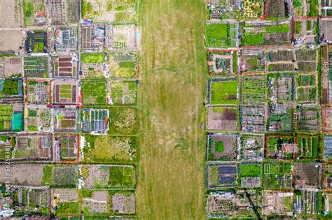 Urban gardening and farming aerial view. Urban oases in summer day ...