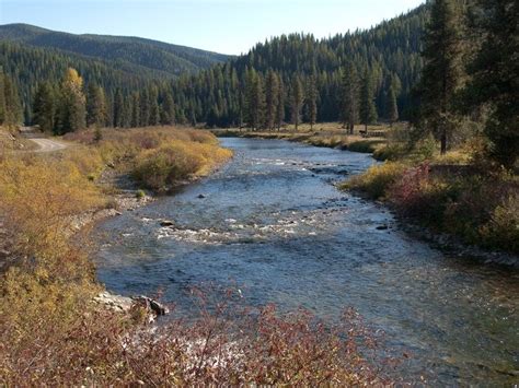 Idaho Panhandle National Forests - Home | Idaho panhandle, Hiking trip, Camping in idaho