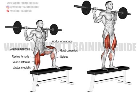 Barbell step-up exercise instructions and video | Weight Training Guide