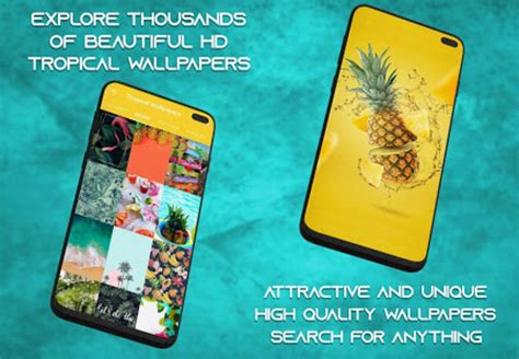 Tropical Wallpaper HD - 4K Background APK for Android - Download