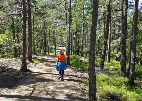 igoiseeishoot: Hellasgården and walk in the Nacka Nature Reserve