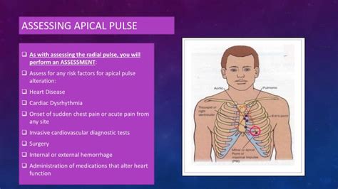 PPT - NUR 111: Skill 5-3: assessing apical pulse PowerPoint ...