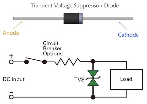 Tvs Diode Schematic Symbol