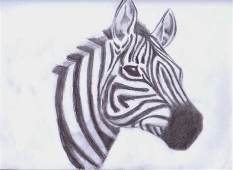 Free Drawing Animals, Download Free Drawing Animals png images, Free ClipArts on Clipart Library