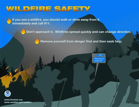 Wildfire Infographics