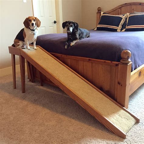 Give Your Pup a Lift: Check Out the Best Dog Stairs and Dog Ramps