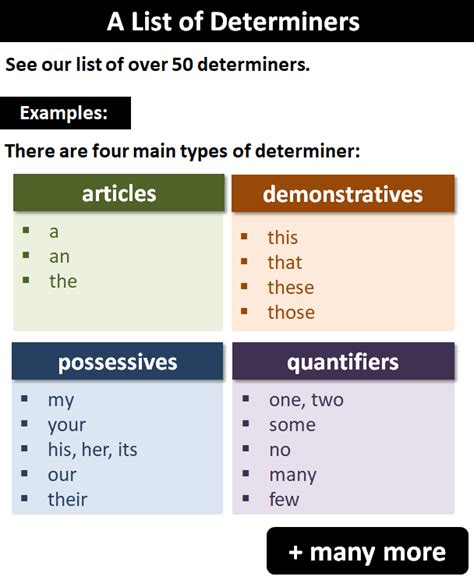 Determiners Examples