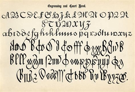 Antique Calligraphy Alphabets - Old Design Shop Blog | Calligraphy alphabet, Alphabet, Lettering